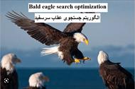 بررسی الگوریتم جستجوی عقاب سرسفید برروی توابع پیوسته